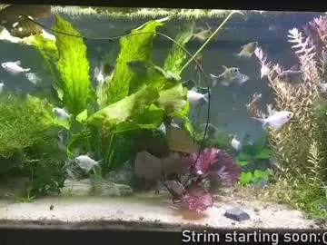 booker_baxton Image 2