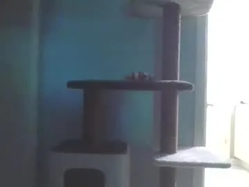 cammyman6900 Image 13