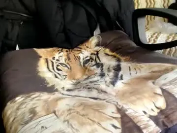 dazzle68's Thumb Image