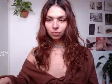 golden_alaska Image 17