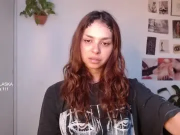 golden_alaska Image 19