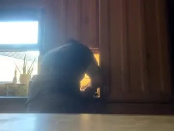 hornyasscouple1009's Thumb Image