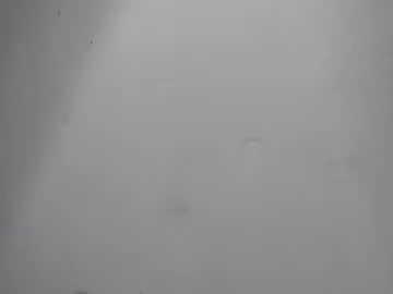 thonymaster Image 19